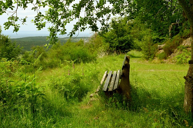 正是今年英 正是今年英