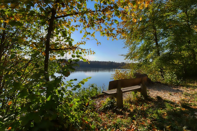 决定整个赛 决定整个赛