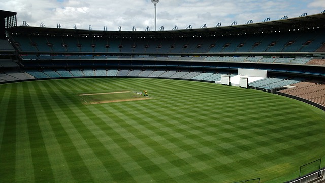 切尔西目前 切尔西目前