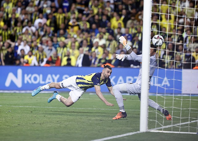 对凤凰城太 对凤凰城太