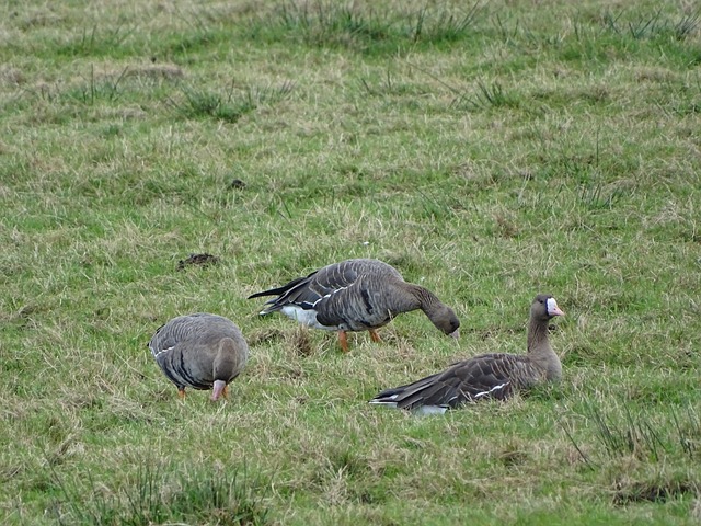 组合稳定性 组合稳定性
