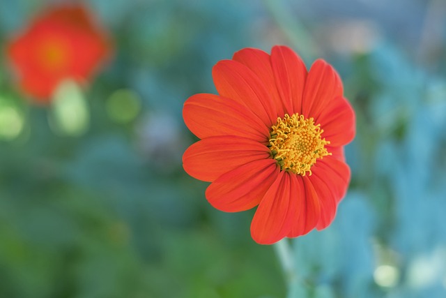 詹姆斯率公牛逆转湖人，一锤定音！.